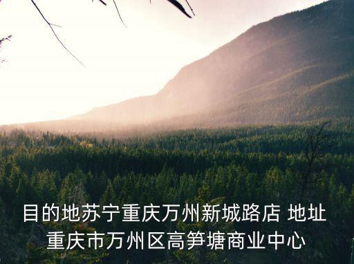 目的地蘇寧重慶萬州新城路店 地址 重慶市萬州區高筍塘商業中心