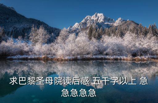 巴黎圣母院讀后感，求巴黎圣母院讀后感 五千字以上 急急急急急