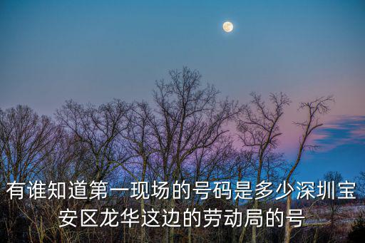 有誰(shuí)知道第一現(xiàn)場(chǎng)的號(hào)碼是多少深圳寶安區(qū)龍華這邊的勞動(dòng)局的號(hào)