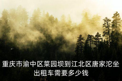 重慶市渝中區(qū)菜園壩到江北區(qū)唐家沱坐出租車需要多少錢