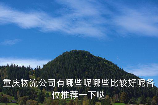 重慶物流公司有哪些呢哪些比較好呢各位推薦一下噠