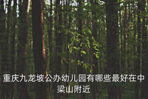 重慶九龍坡公辦幼兒園有哪些最好在中梁山附近