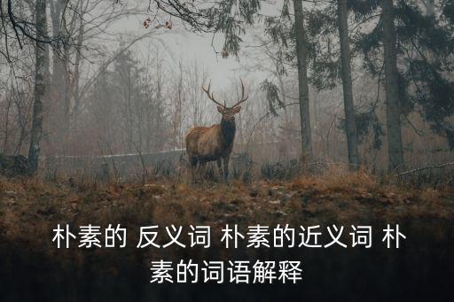  樸素的 反義詞 樸素的近義詞 樸素的詞語解釋
