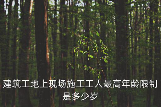 建筑工地上現場施工工人最高年齡限制是多少歲