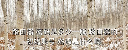  路由器 密碼是多少一般 路由器的初始賬號 密碼是什么啊