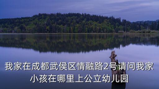 我家在成都武侯區(qū)情融路2號(hào)請(qǐng)問我家小孩在哪里上公立幼兒園