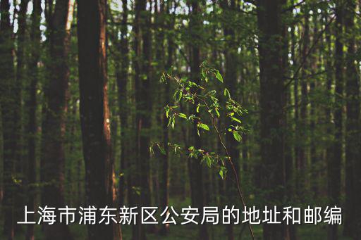 上海市浦東新區公安局的地址和郵編