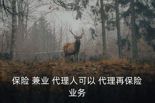 保險 兼業(yè) 代理人可以 代理再保險業(yè)務(wù)