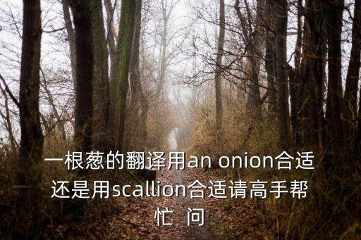 蔥英文，洋蔥的英文是什么