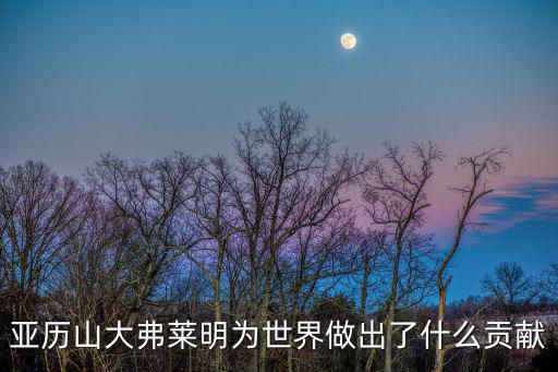 亞歷山大弗萊明為世界做出了什么貢獻