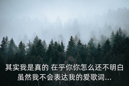 其實我是真的 在乎你你怎么還不明白雖然我不會表達我的愛歌詞...