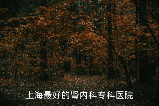 上海最好的腎內(nèi)科專科醫(yī)院