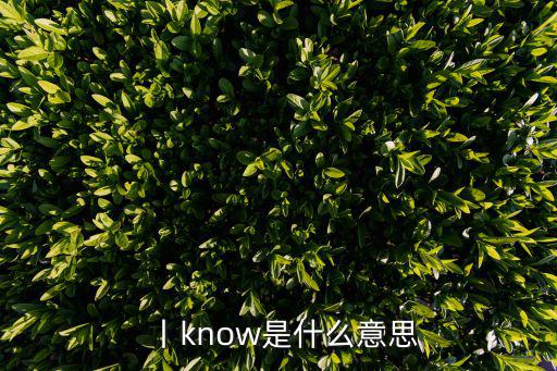 丨know是什么意思
