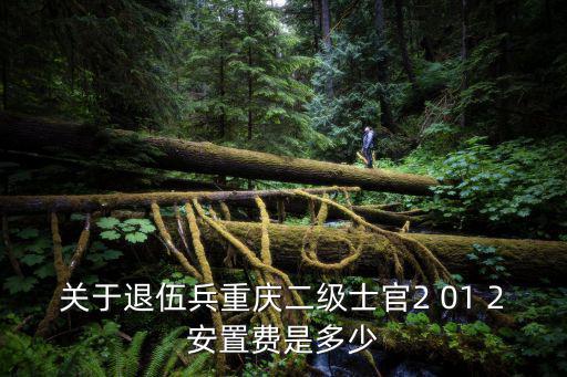 關(guān)于退伍兵重慶二級(jí)士官2 01 2安置費(fèi)是多少