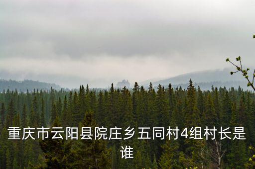 重慶市云陽縣院莊鄉五同村4組村長是誰