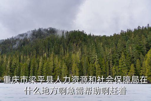 重慶市梁平縣人力資源和社會保障局在什么地方啊急需幫助啊趕著