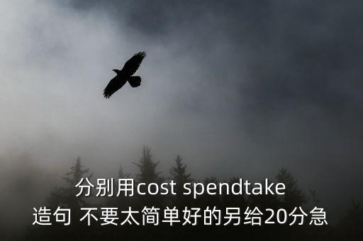 分別用cost spendtake造句 不要太簡單好的另給20分急