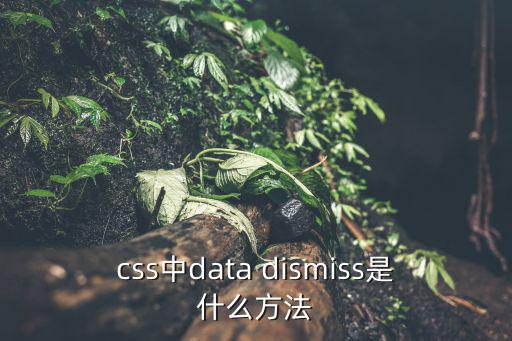 css中data dismiss是什么方法