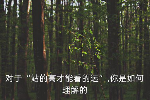 對于“站的高才能看的遠”,你是如何理解的