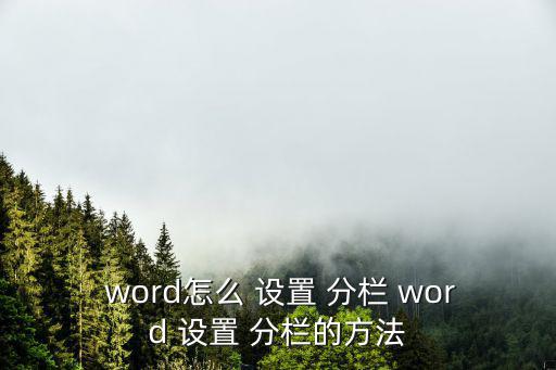  word怎么 設置 分欄 word 設置 分欄的方法