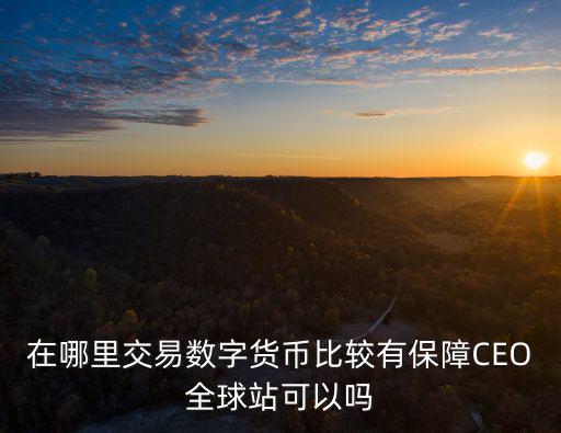 在哪里交易數字貨幣比較有保障CEO全球站可以嗎