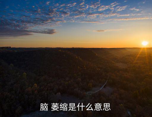 腦 萎縮是什么意思