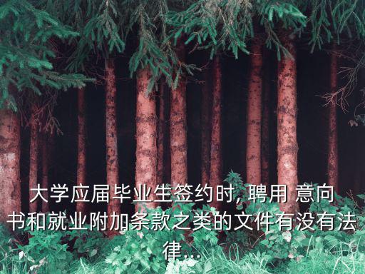 大學(xué)應(yīng)屆畢業(yè)生簽約時(shí), 聘用 意向書和就業(yè)附加條款之類的文件有沒有法律...