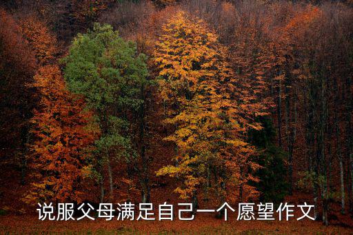 說服父母滿足自己一個愿望作文