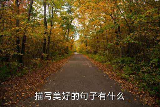 描寫美好的句子有什么