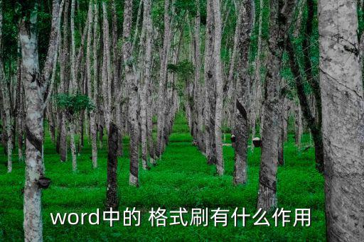 word中的 格式刷有什么作用