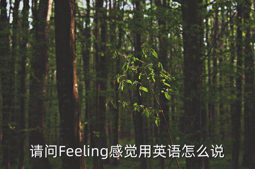 請問Feeling感覺用英語怎么說