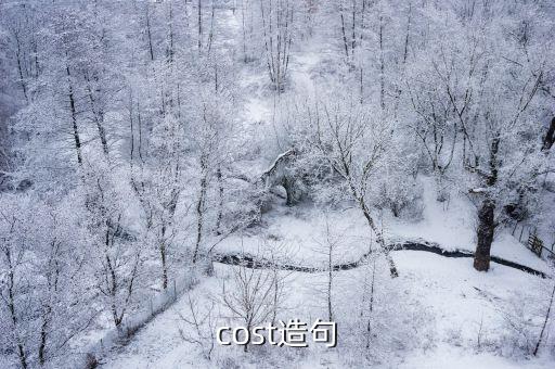 cost造句