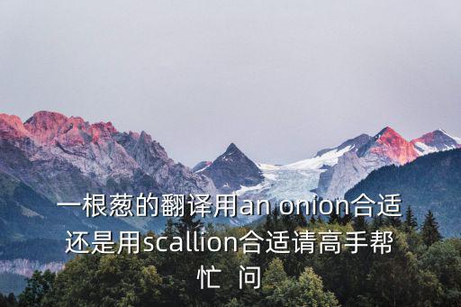 一根蔥的翻譯用an onion合適還是用scallion合適請高手幫忙  問