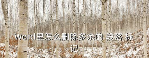 Word里怎么刪除多余的 段落 標記