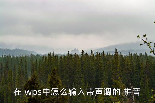 在 wps中怎么輸入帶聲調的 拼音