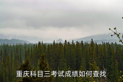 重慶科目三考試成績?nèi)绾尾檎? class=
