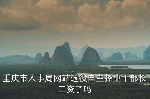 重慶市人事局網站退役自主擇業干部長工資了嗎