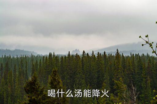 下火湯有哪些，喝什么湯能降火