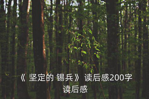 《 堅定的 錫兵》 讀后感200字 讀后感