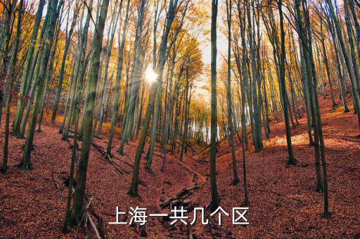 上海一共幾個區