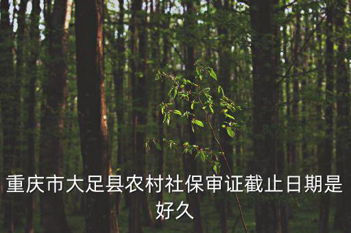 重慶市大足縣農(nóng)村社保審證截止日期是好久