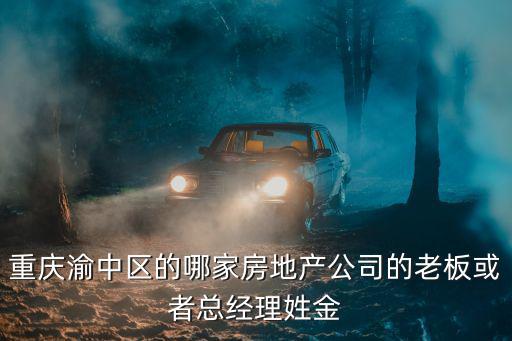 重慶渝中區的哪家房地產公司的老板或者總經理姓金