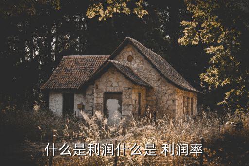 什么是利潤什么是 利潤率