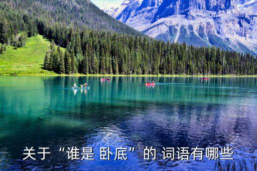 誰是臥底的詞語,《誰的臥底》比拼語言表達能力和想象力!