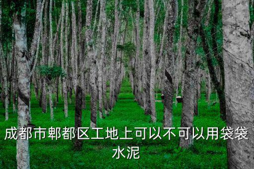 成都市郫都區(qū)工地上可以不可以用袋袋水泥