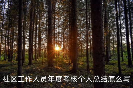 社工工作總結，社區民政工作總結