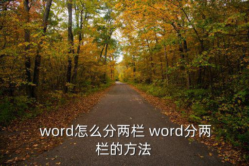  word怎么分兩欄 word分兩欄的方法