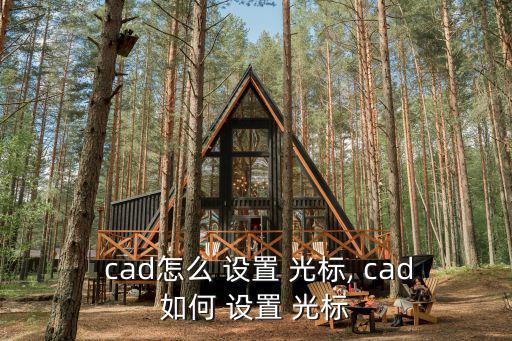 cad光標大小設置,十字光標如何變形?