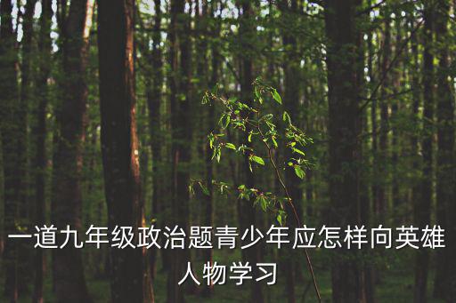 一道九年級政治題青少年應(yīng)怎樣向英雄人物學(xué)習(xí)