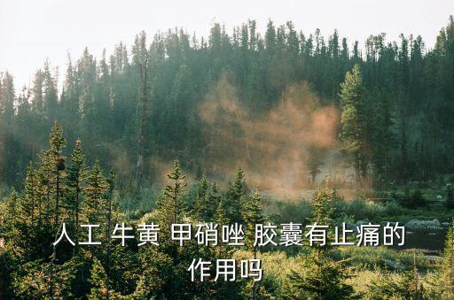  人工 牛黃 甲硝唑 膠囊有止痛的作用嗎